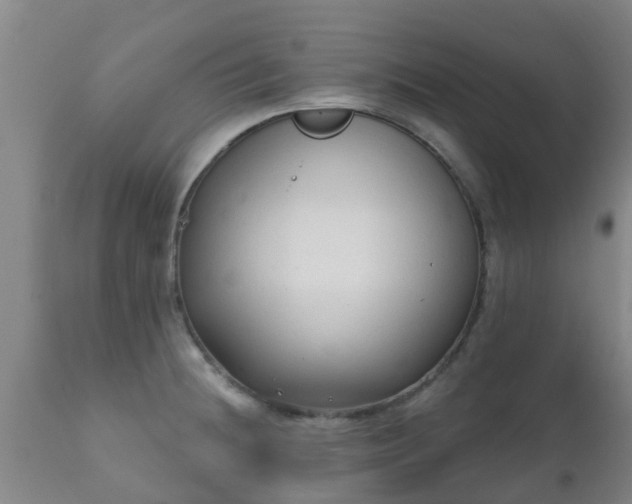 X0000112421236200908211138