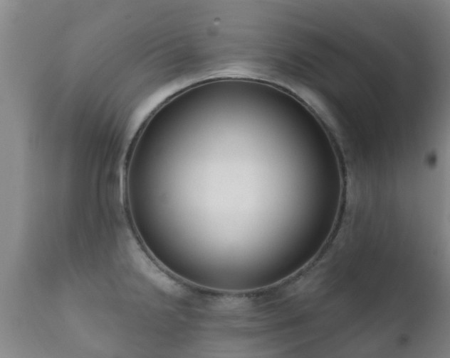 X0000112421238200908211138