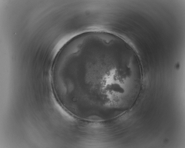 X0000112421239200908211138