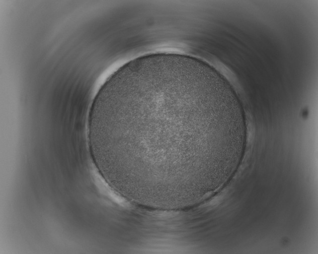 X0000112421240200908211138