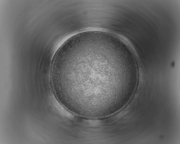 X0000112421244200908211138