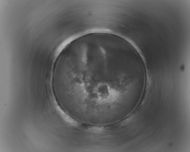 X0000112421245200908211138