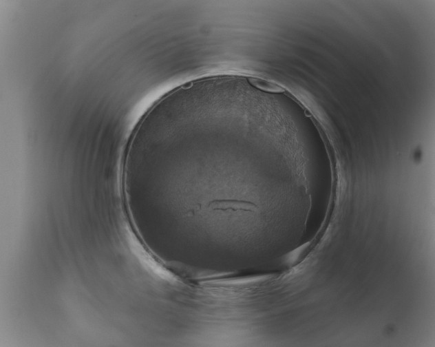 X0000112421246200908211138