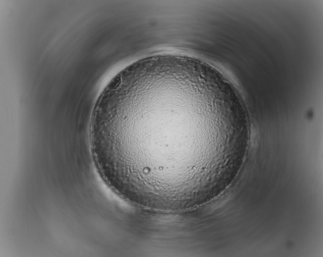 X0000112421247200908211138