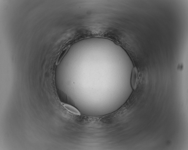 X0000112421249200908211137