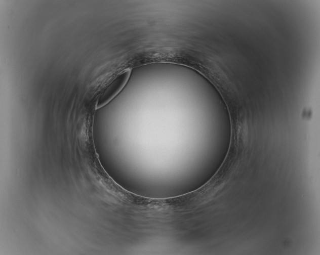 X0000112421250200908211137