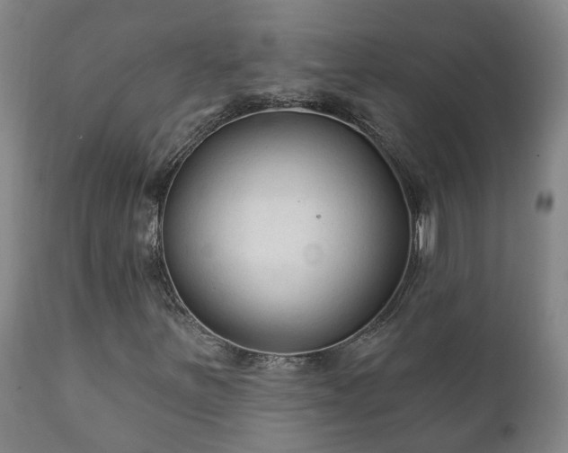 X0000112421251200908211137