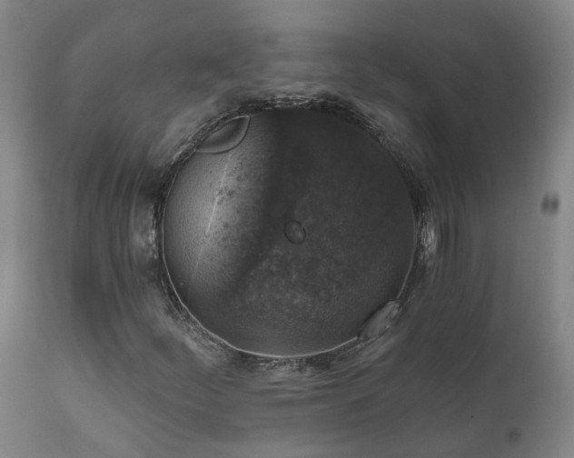 X0000112421252200908211137