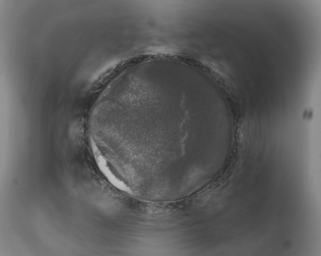 X0000112421254200908211137