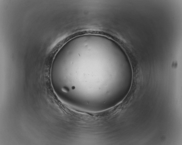 X0000112421255200908211137