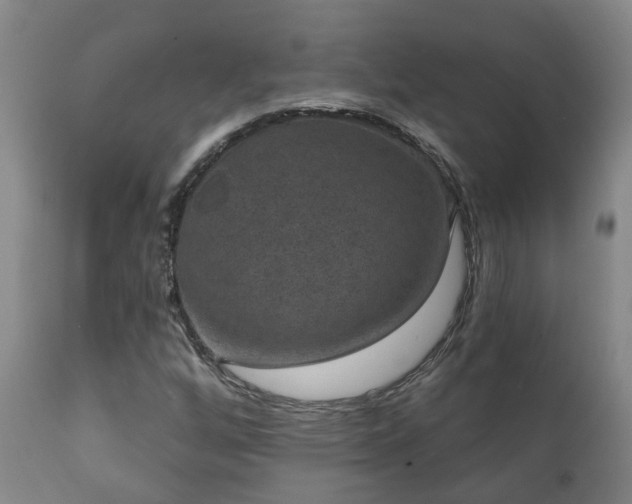 X0000112421256200908211137