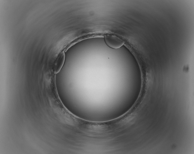 X0000112421257200908211137