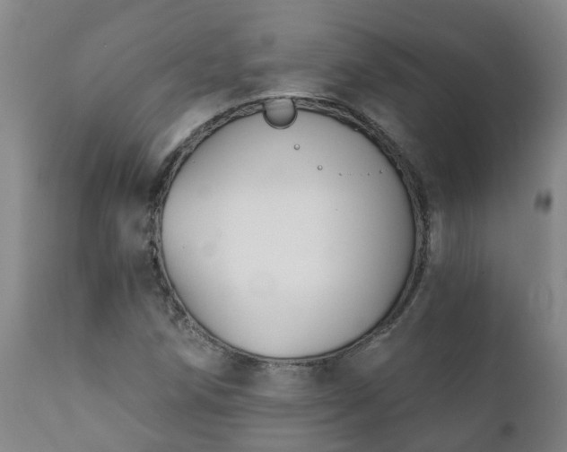 X0000112421258200908211137