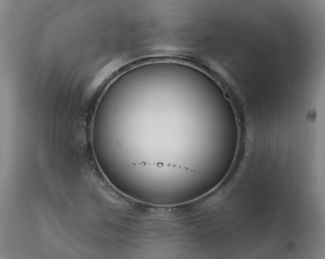 X0000112421259200908211137