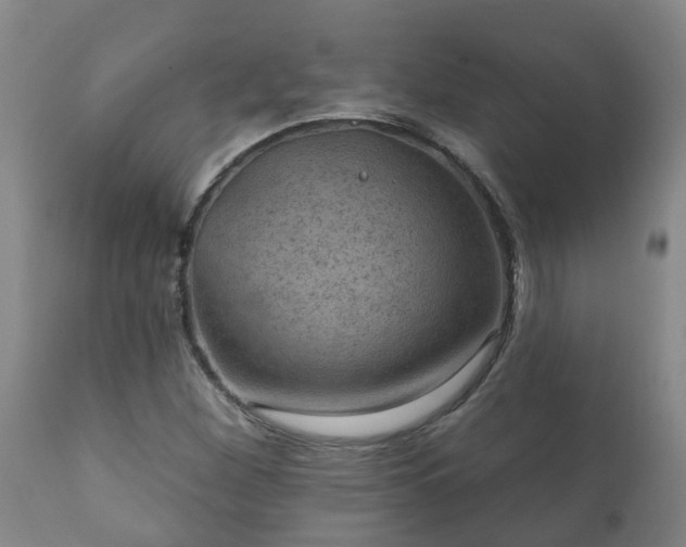 X0000112421260200908211137