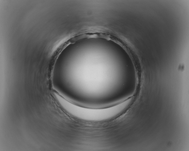 X0000112421261200908211137