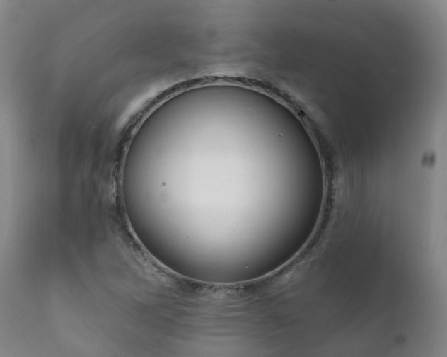 X0000112421262200908211137