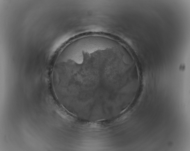 X0000112421263200908211137