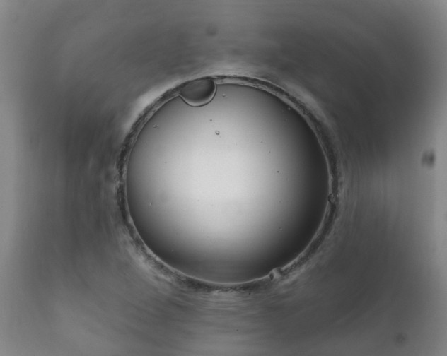 X0000112421264200908211137