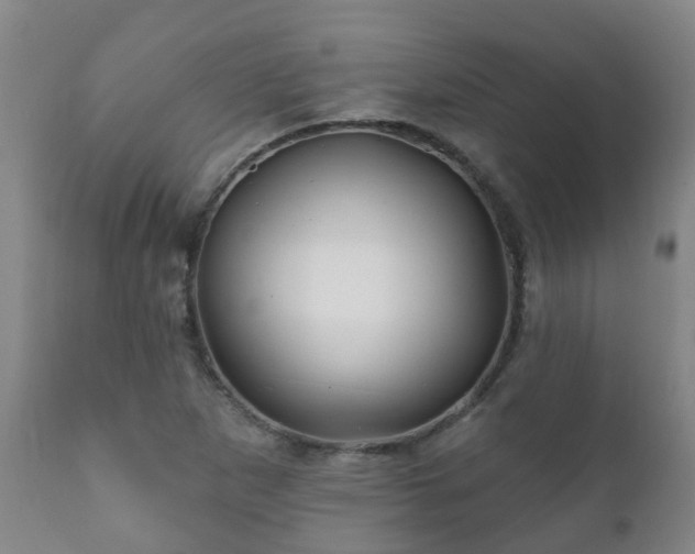 X0000112421265200908211137