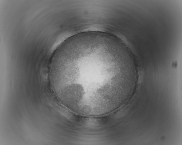 X0000112421266200908211137