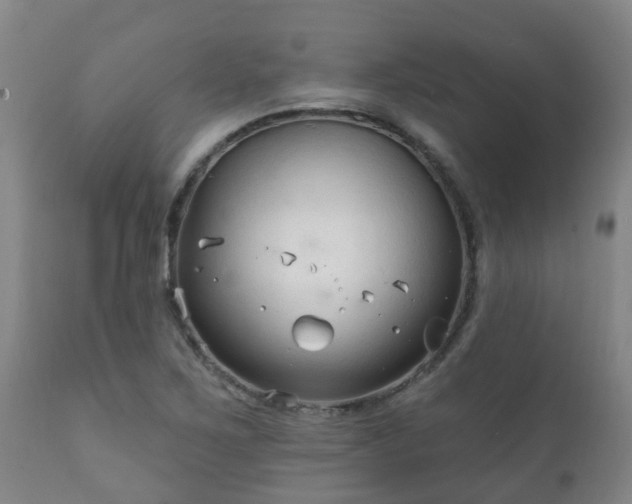 X0000112421267200908211137