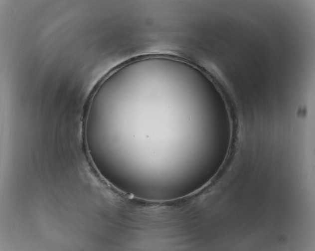 X0000112421268200908211137