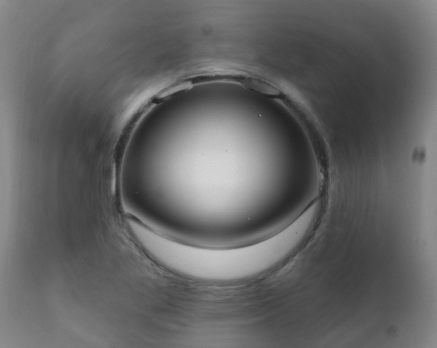 X0000112421269200908211137