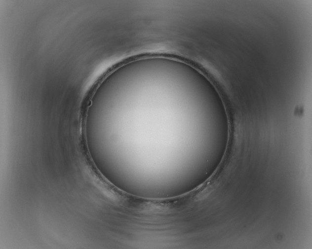 X0000112421270200908211137