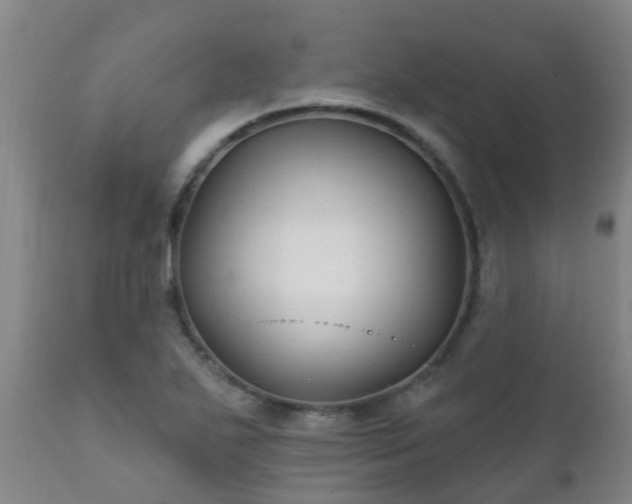 X0000112421271200908211137