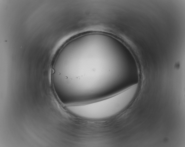 X0000112421272200908211137