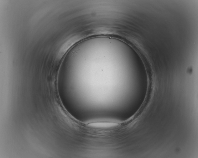 X0000112421273200908211137