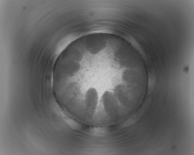 X0000112421274200908211137