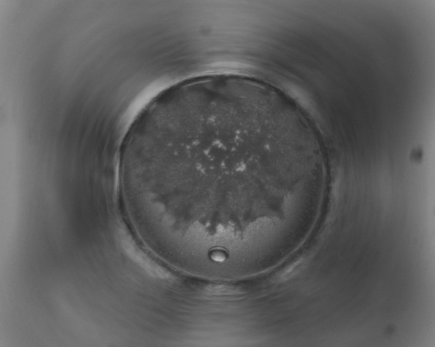 X0000112421275200908211137