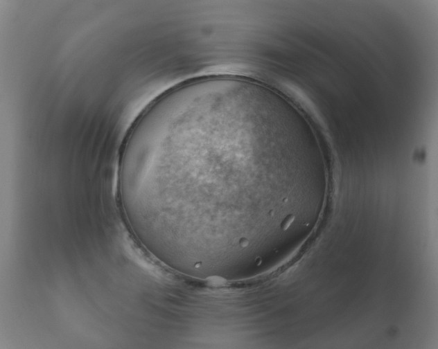 X0000112421276200908211137