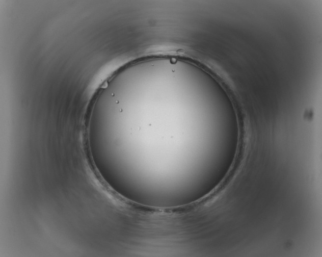 X0000112421277200908211137