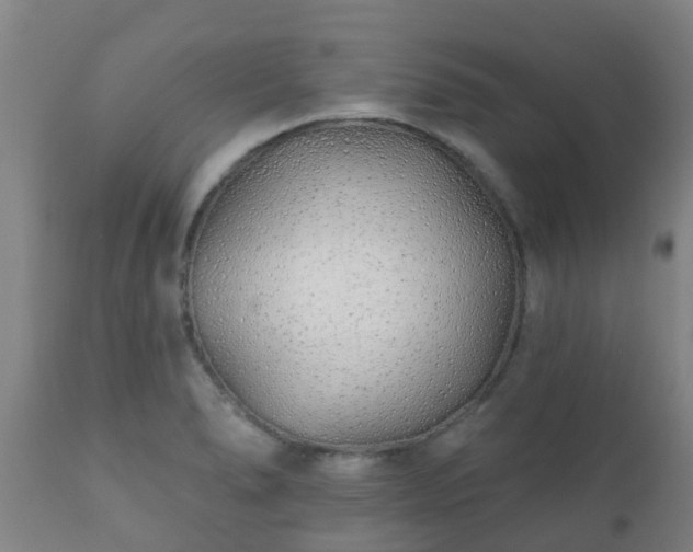 X0000112421278200908211137