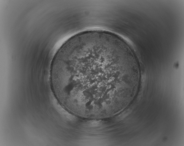 X0000112421279200908211137