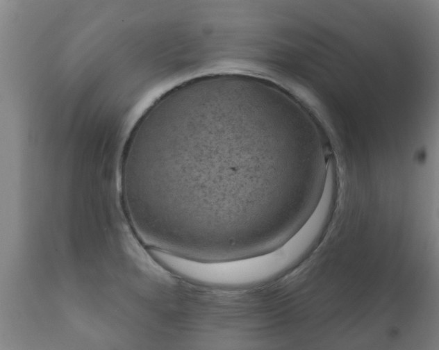 X0000112421280200908211137