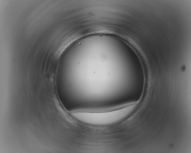 X0000112421281200908211137