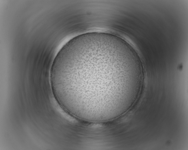 X0000112421283200908211137