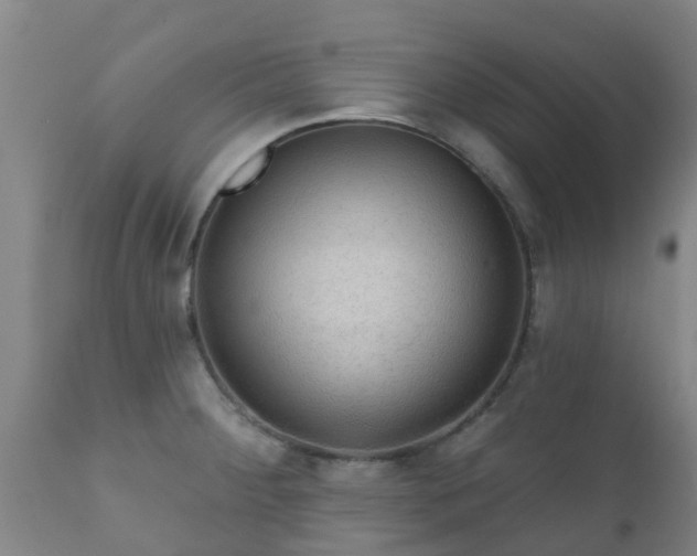 X0000112421284200908211137