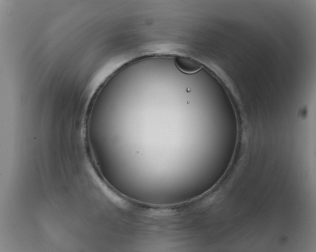 X0000112421285200908211137