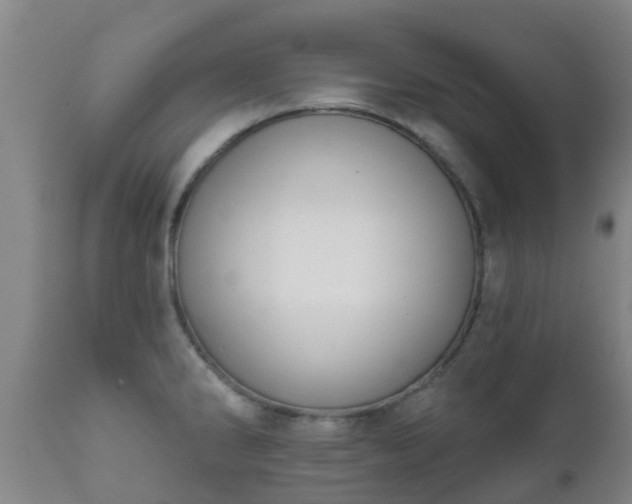 X0000112421286200908211137