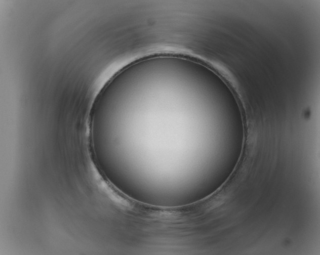 X0000112421287200908211137