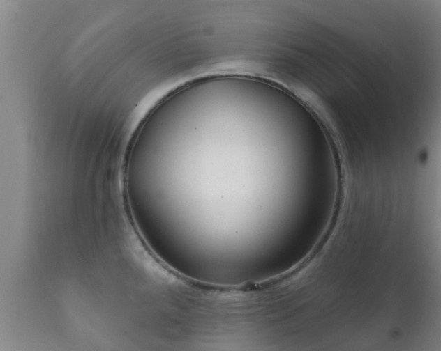 X0000112421288200908211137