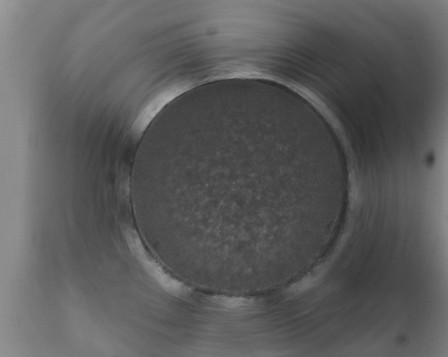 X0000112421289200908211137