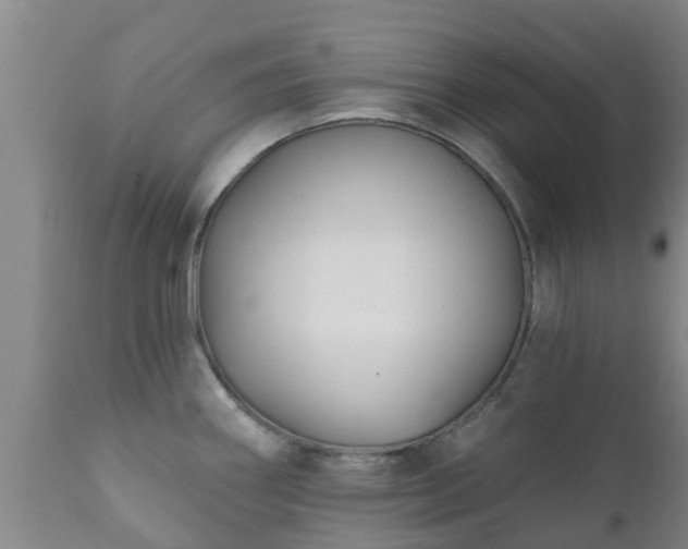 X0000112421290200908211137