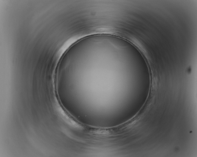 X0000112421291200908211137