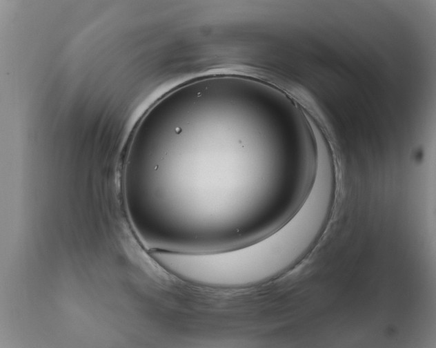 X0000112421292200908211137